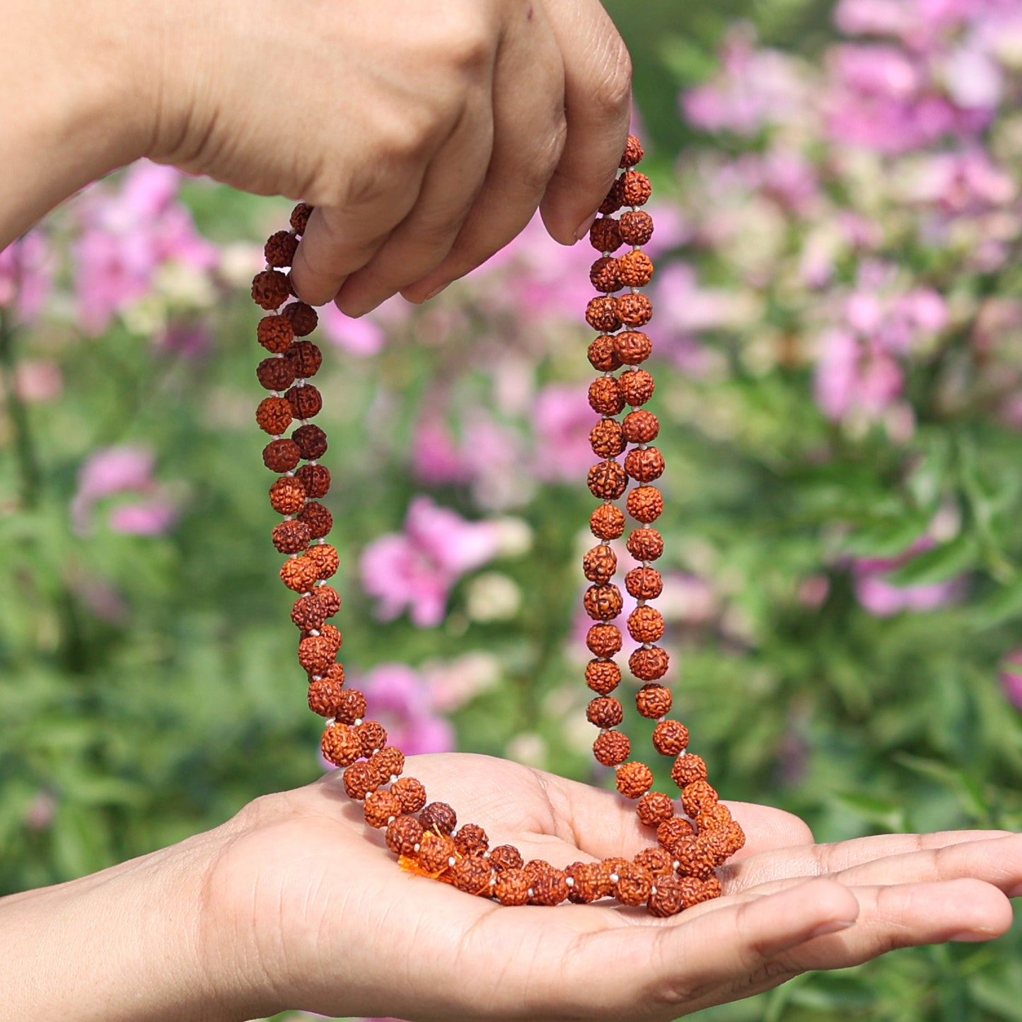 original rudraksha mala