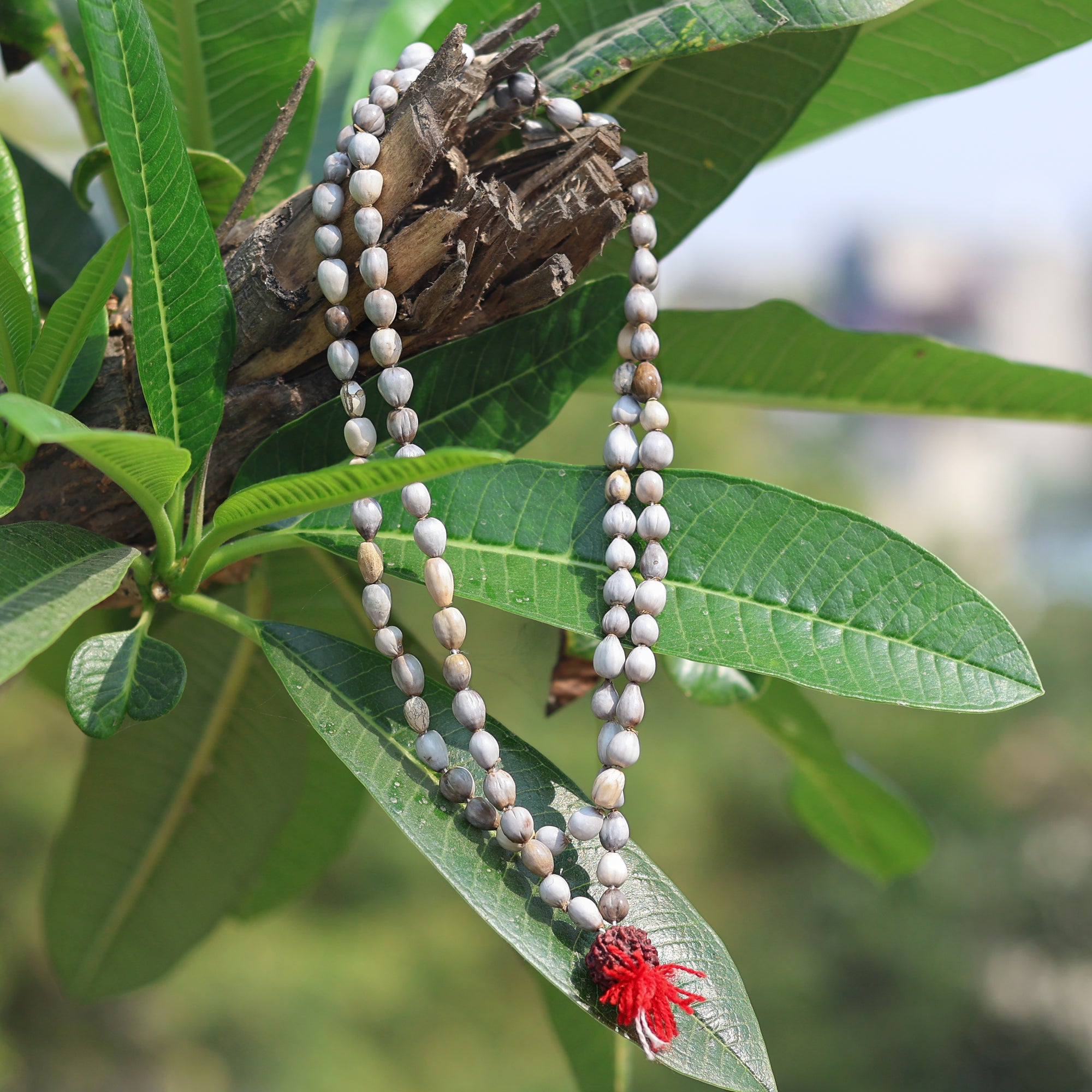 vaijayanti mala