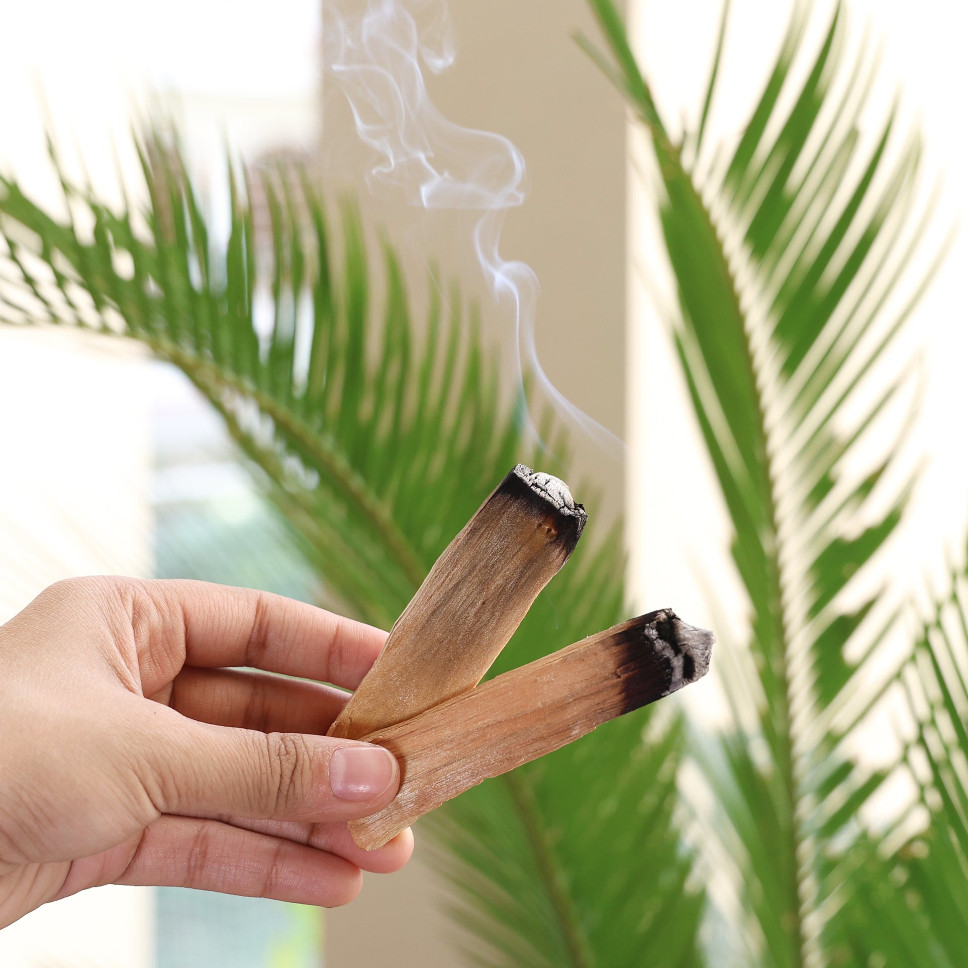 palo santo sticks