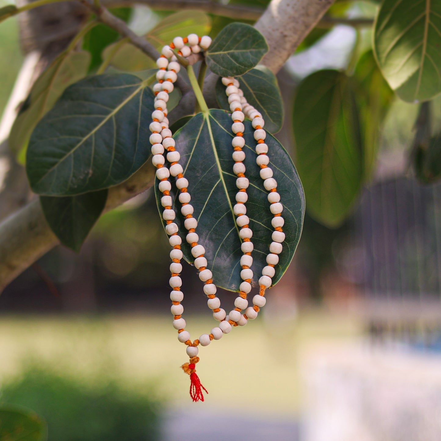 White Wood mala